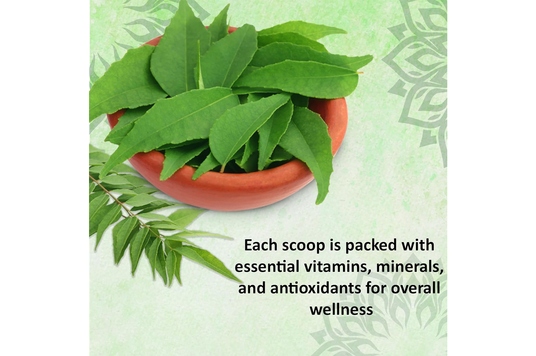 Curry Leaf Iron Boost – Dry Scoop for Energy, Digestion, Metabolism & Ayurvedic Wellness