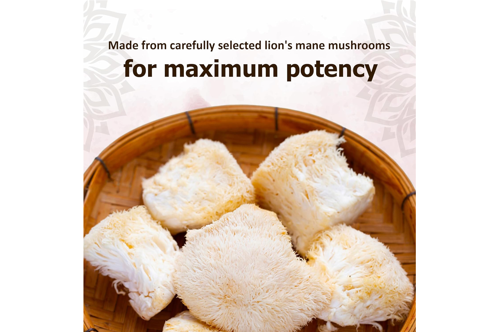 Organic Lions Mane Supplement